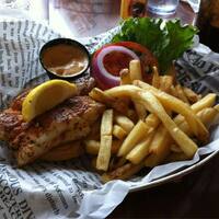 The Salty Dog Cafe Photos, Pictures of The Salty Dog Cafe, Hilton Head